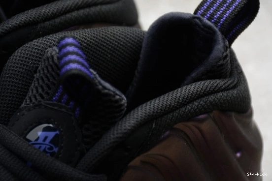 Foamposite Air Eggplant (2017) One 314996-008  0815